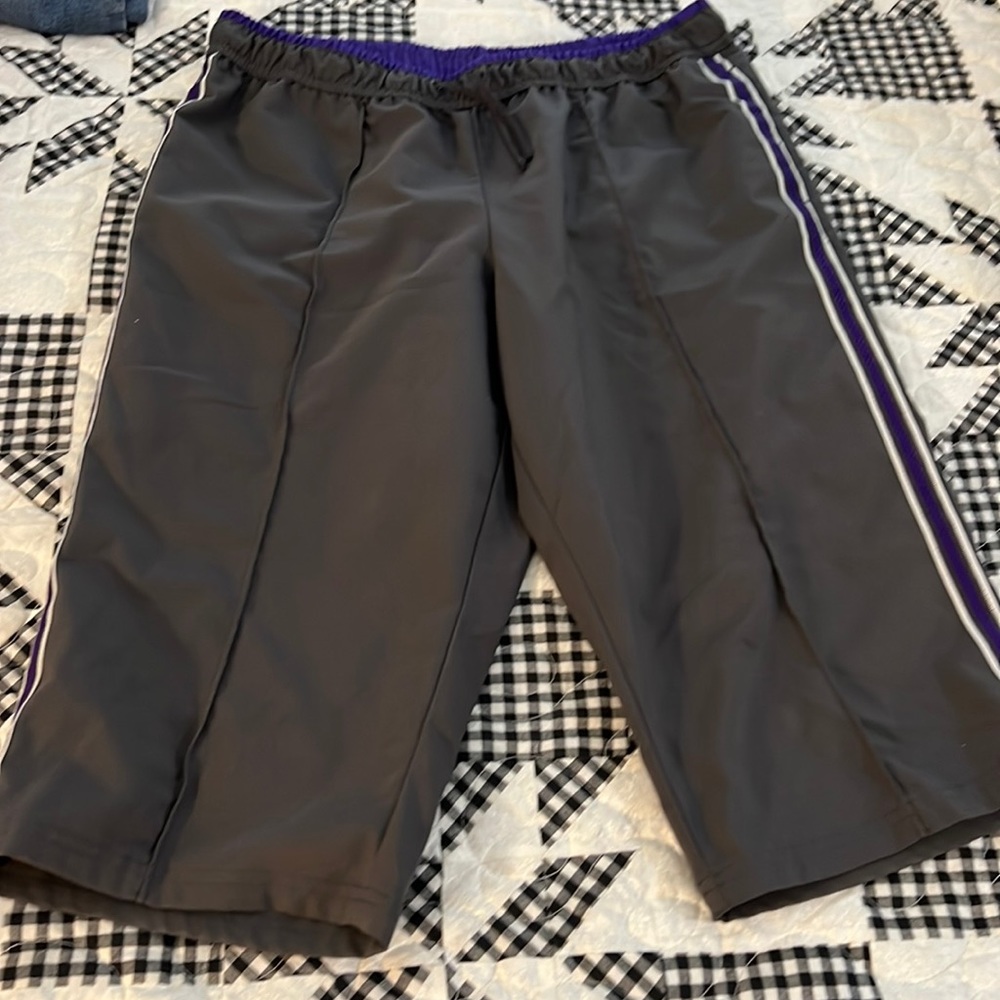 SJB Active long charcoal gray shorts with purple side stopes size PL!